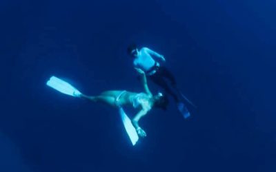 Few free dives shots in Okinawa
taken byWerther…