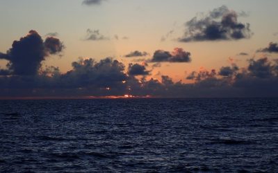 Diving at twilight