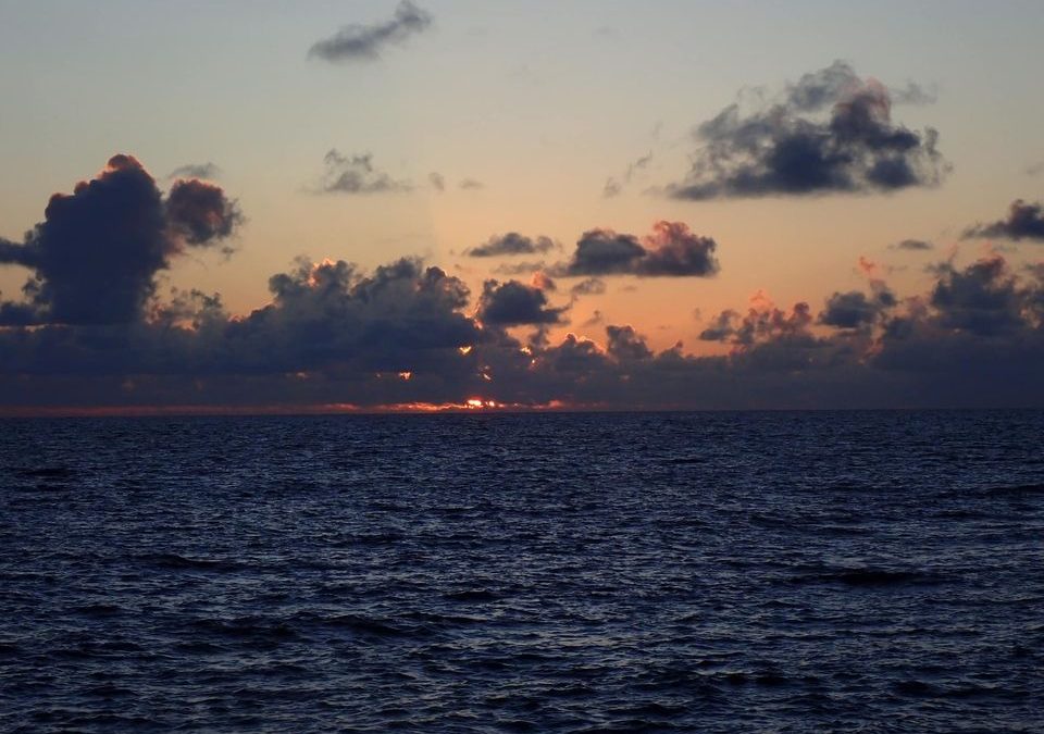 Diving at twilight